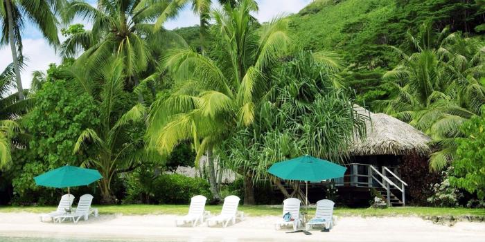 1920x1080 Beaches: Nature Holiday Beach Palm Summer Wallpaper Sun for HD 16:9