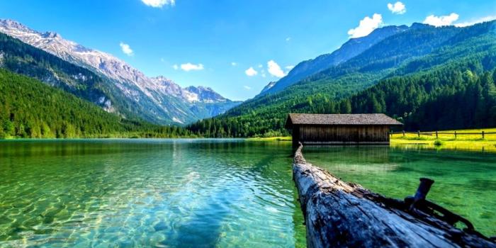 1330x787 Summer Nature Hd Background Wallpaper | Dom Wallpapers