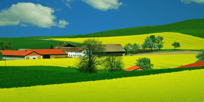 1920x1080 Summer Nature Wallpaper ·① WallpaperTag