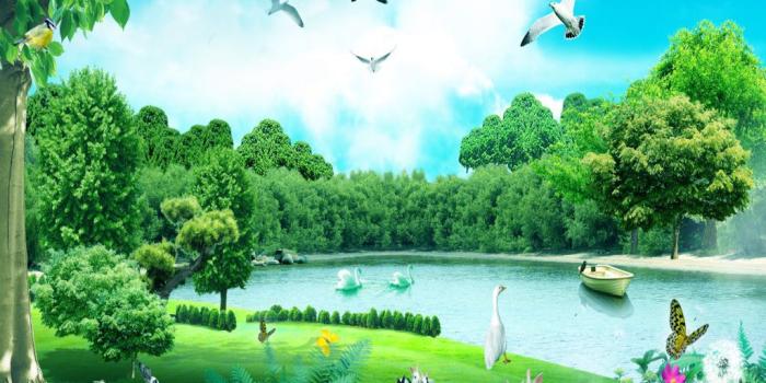 1024x768 Forest Animals Summer Nature Wallpapers - 1024X768Px HD Wallpaper