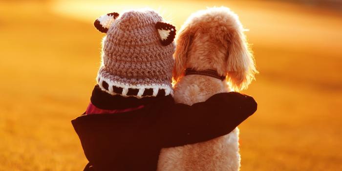 2560x2560 Animal Friends Wallpapers