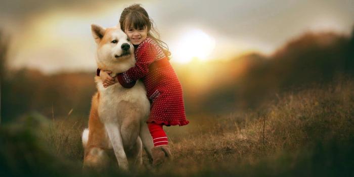 2048x1152 Animal Friends Wallpapers