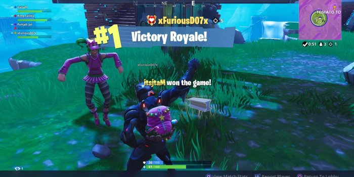 1920x1080 Fortnite Victory HD Wallpaper Background 64476 1920x1080px