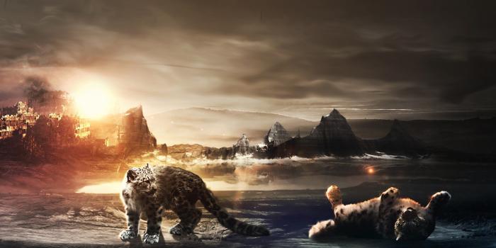 1920x1200 5027996 #animals, #lions, #friends, #cute, #hd | Animal | Tokkoro