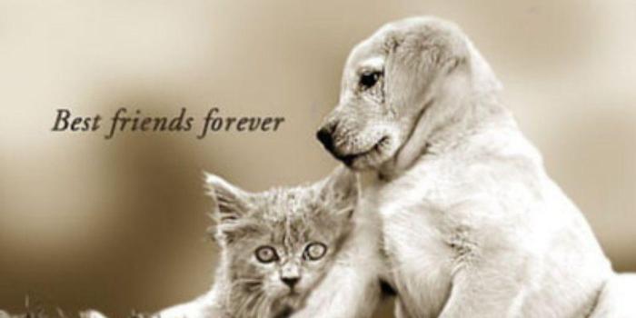 1024x768 Best Friends Forever Wallpapers