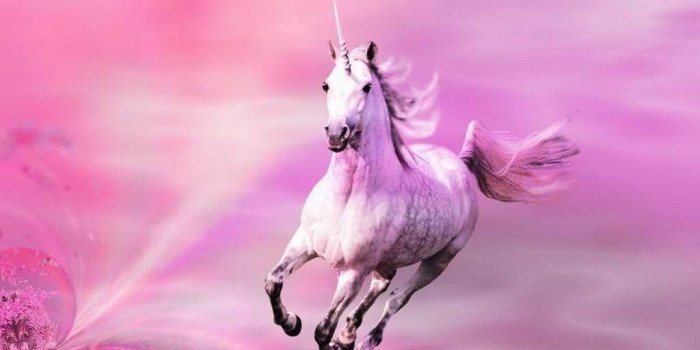 1024x768 Pink Shimmers - Unicorns Wallpaper (10796170) - Fanpop