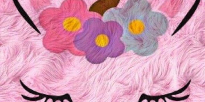 900x1440 Unicorn Wallpapers Cute for Android - APK Download