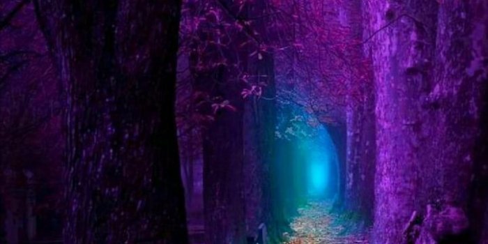 720x1280 Download Fall Wallpaper by georgekev - ba - Free on ZEDGE™ now