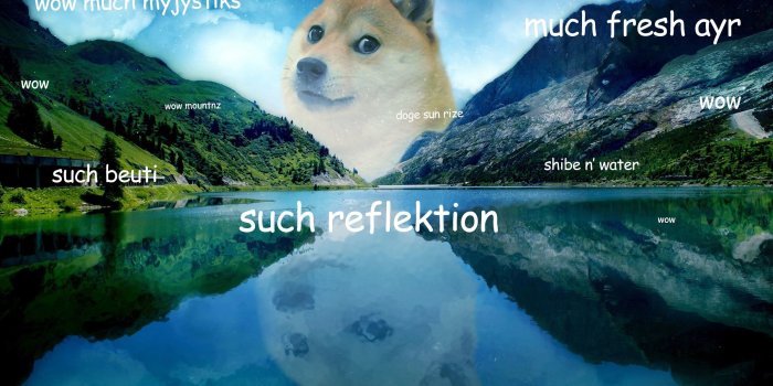 2400x1500 76+ Doge Meme Wallpapers on WallpaperPlay