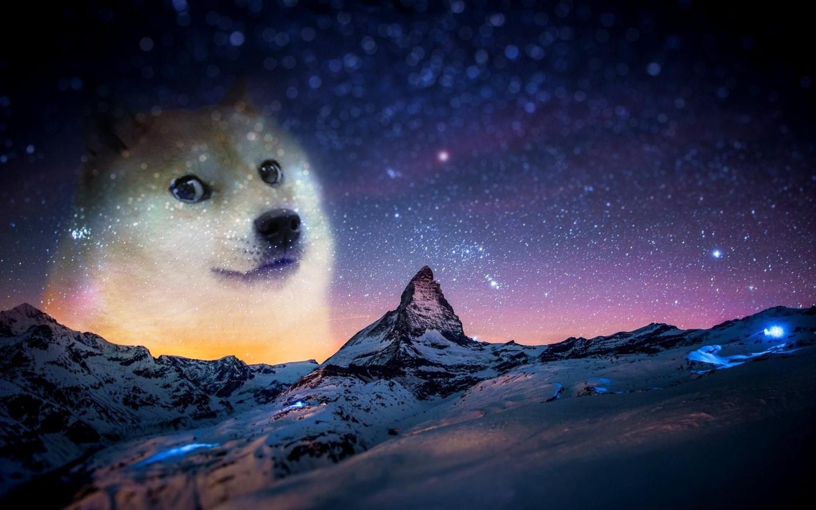 1920x1200 Doge Wallpaper High Quality For Desktop Wallpaper 1920 x 1200 px
