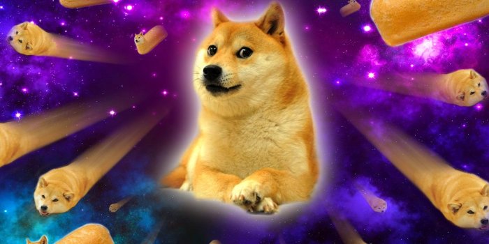 1600x1224 Doge Background Space Snow, night, animals, doge , memes wallpapers