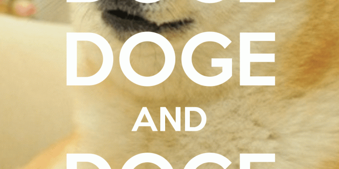 1125x2000 doge doge and doge doge | Geeky / Fun in 2019 | Doge meme, Doge dog
