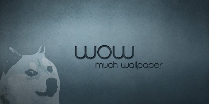 1600x900 Photo of doge meme with text overlay, doge, Shiba Inu, minimalism