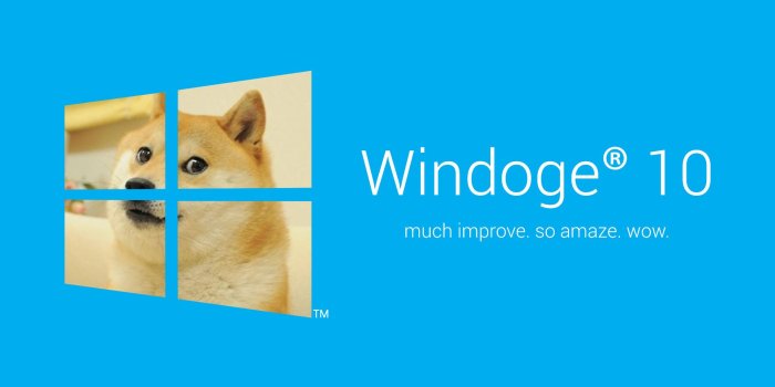 1920x1080 Doge Wallpaper HD (77+ images)