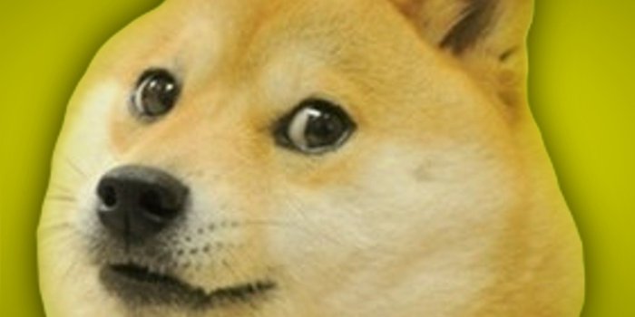 1920x1080 Free download Doge Meme Iphone Wallpaper Doge wallpaper [1920x1080