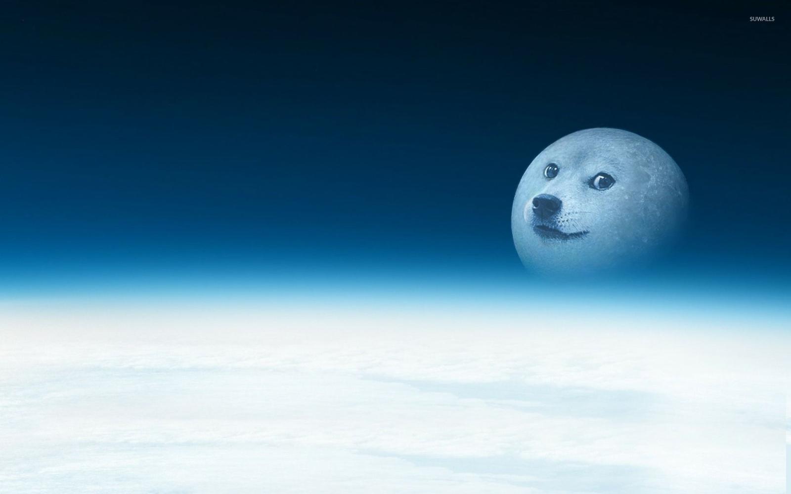1920x1200 Doge [2] wallpaper - Meme wallpapers - #27301