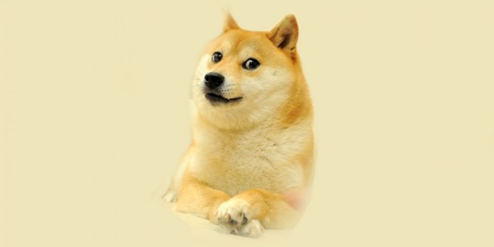 1562x966 Doge Meme Wallpaper 1920X1080 | Amazing Wallpapers