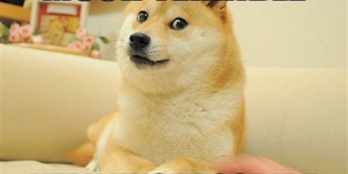 1600x900 The Origins and Popularity of the Doge Meme