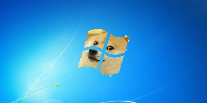 1920x1080 76+ Doge Meme Wallpapers on WallpaperPlay