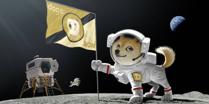 2560x1440 Doge Wallpaper 1920x1080 on WallpaperGet.com