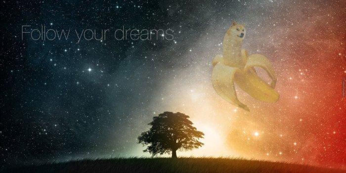 1920x1080 55 Doge HD Wallpaper - Free HD Wallpapers