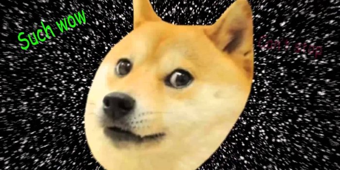 1920x1080 The Best Follow Your Dreams Doge Wallpaper - dream