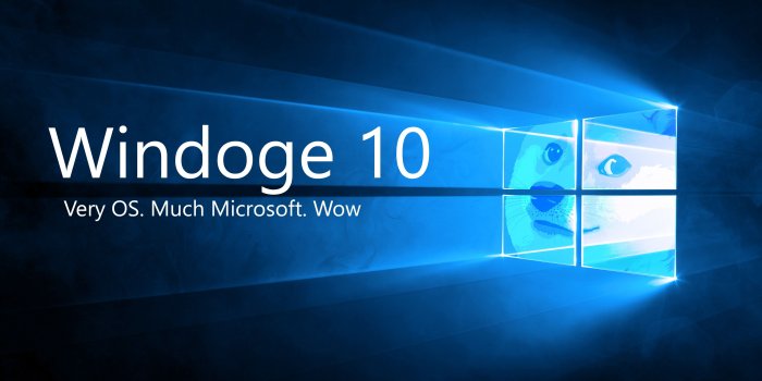 3840x2160 doge, Microsoft Windows, Shiba Inu, Memes Wallpapers HD / Desktop