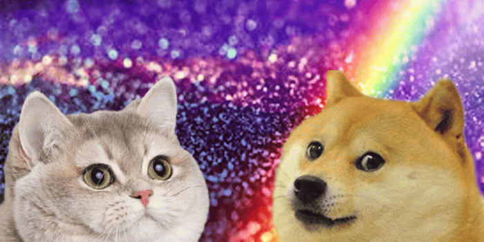 1600x1084 Free download Heavy Breathing and wow doge Meet by QueenChoconator