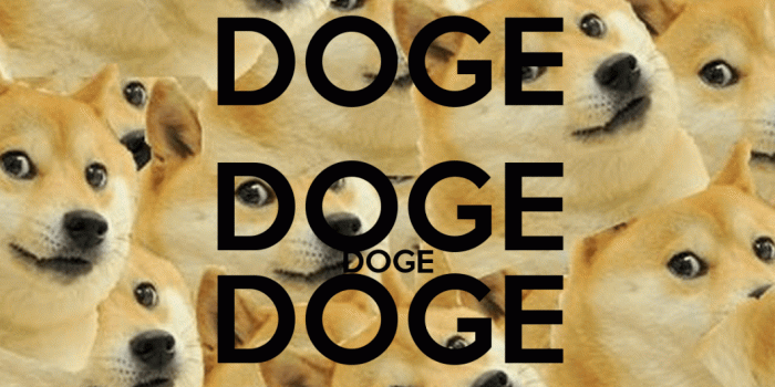 1060x1237 Doge Wallpapers For Phone | Walljdi.org