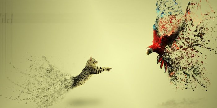 1773x656 50+ Amazing Funny Facebook Covers Pictures | Facebook Cover-ups