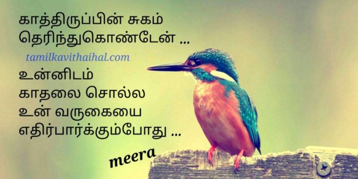 1177x744 Love Quotes For Facebook Wallpapers | Wallpapers Power