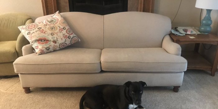 1024x768 Bailey on Twitter: 