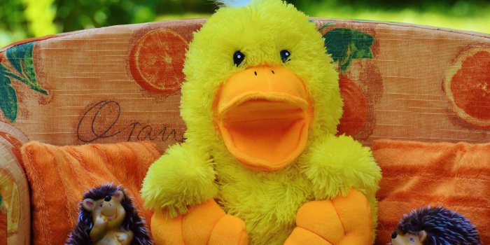 4512x3000 Friends, Couch, Duck, Sofa, Hedgehog, animal, one animal free image