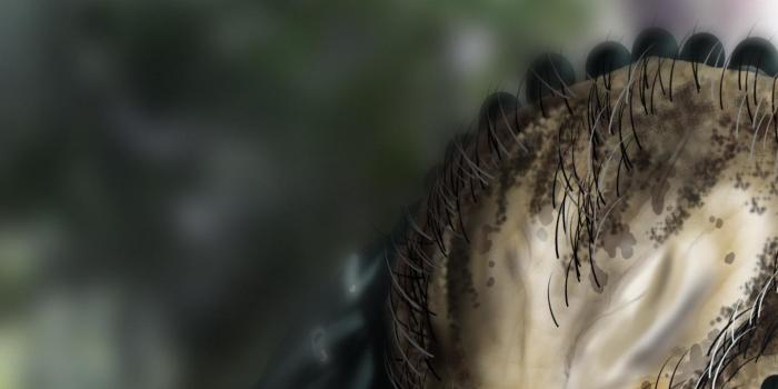 1440x960 Best Predator wallpaper ID:242001 for High Resolution hd 1440x960 PC