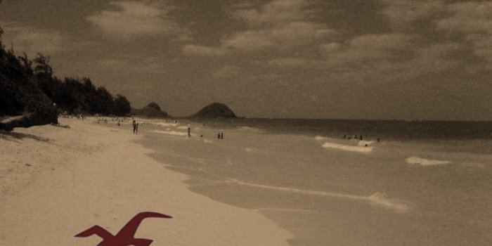 1600x1200 Hollister Wallpaper 9 - Desktop Wallpapers HD Free Backgrounds