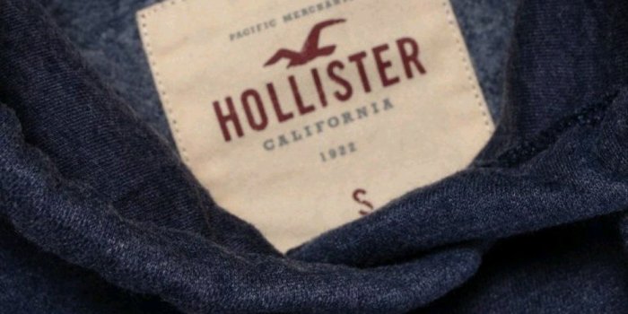 1000x1000 What Bird Is The Hollister Logo ✓ The Galleries of HD Wallpaper