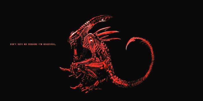 2560x1440 Predator Wallpapers HD (73+ background pictures)