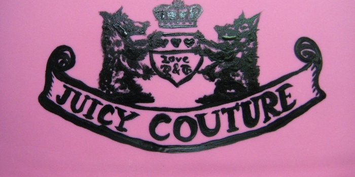 1024x768 Juicy Couture Handbag Cake Sugar Hand Painting by Tony 