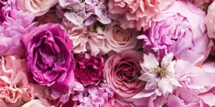 1242x2208 Flower Wallpaper iPhone (84+ images)