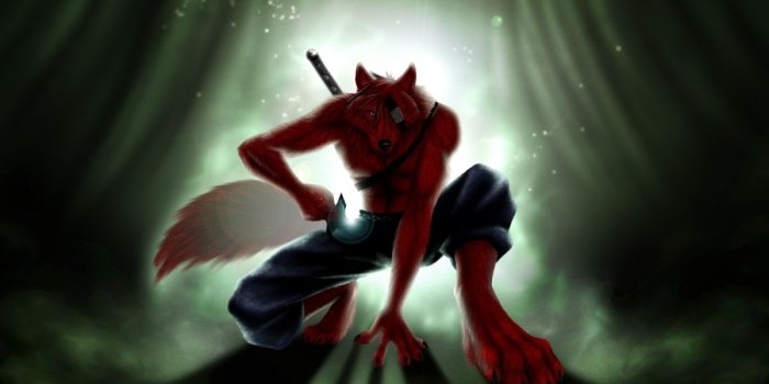 1200x800 Free download Furry Fandom Wolves Foxes Anthropomorphic Anthro Fox