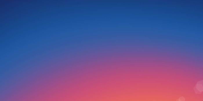 1500x3000 Sunrise View Minimal Nature iPhone Wallpaper | iPhone Wallpapers in