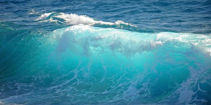 1920x1080 49+] Ocean Waves Wallpaper Moving on WallpaperSafari