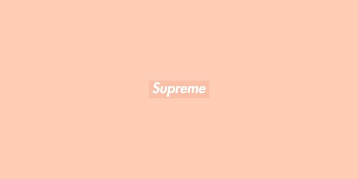 3800x2400 Gucci Supreme Box Logo Wallpapers - Top Free Gucci Supreme Box Logo