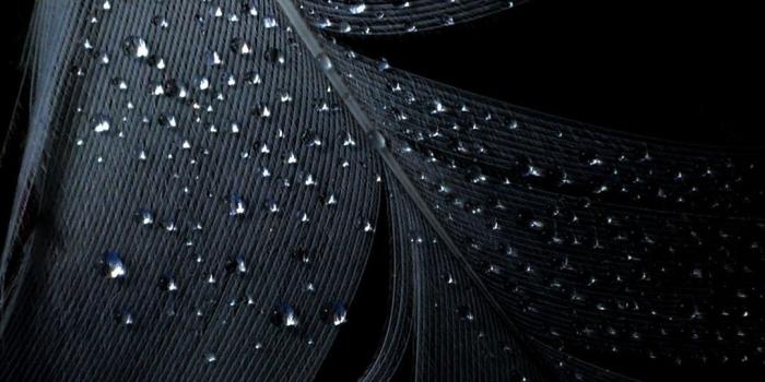 1080x1920 73+ Pure Black Wallpapers on WallpaperPlay