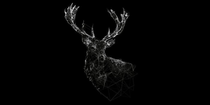 1440x2560 AMOLED Wallpapers