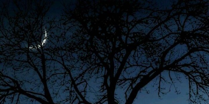 720x1280 Black Amoled Wallpaper Vol. 2 for Android - APK Download