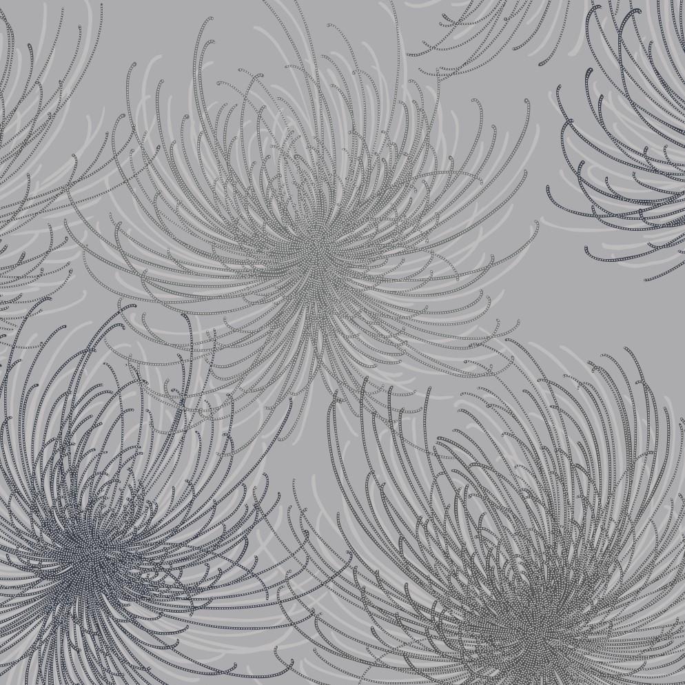 994x994 Cosmo Silver Grey Spider Flower Wallpaper