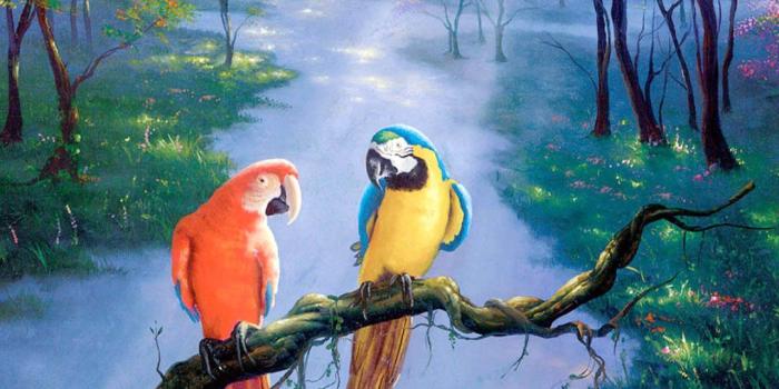 1280x720 Parrot, Beautiful, Art, Painting, HD, Wallpaper, Absract, Artworks