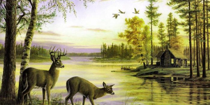 1164x776 nature painting wallpaper – Nature Wallpaper – beautiful nature