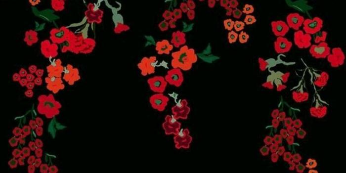 800x1421 SHINee Phone wallpaper | SHINee in 2019 | Shinee, Jonghyun, Kpop